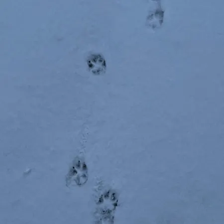 Hubertus Hotel Reuth