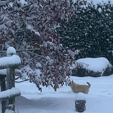 Hotell Hubertus Reuth