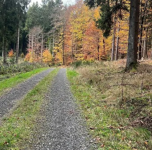 מלון Hubertus Reuth