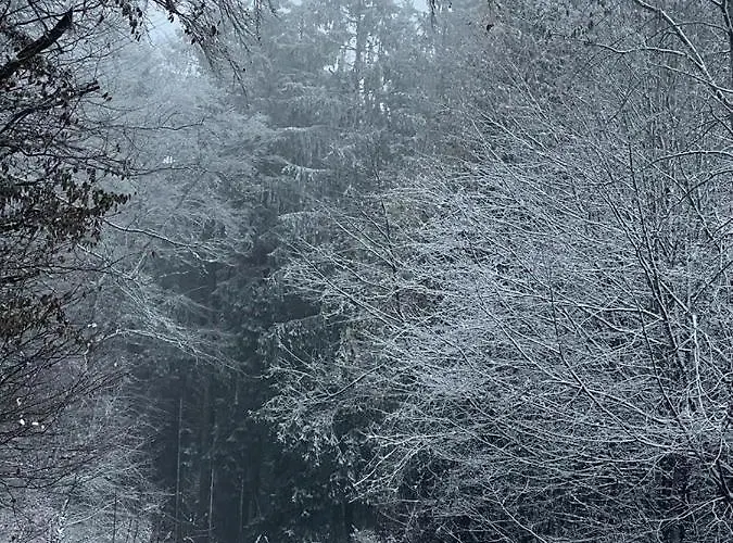 Hubertus מלון Reuth