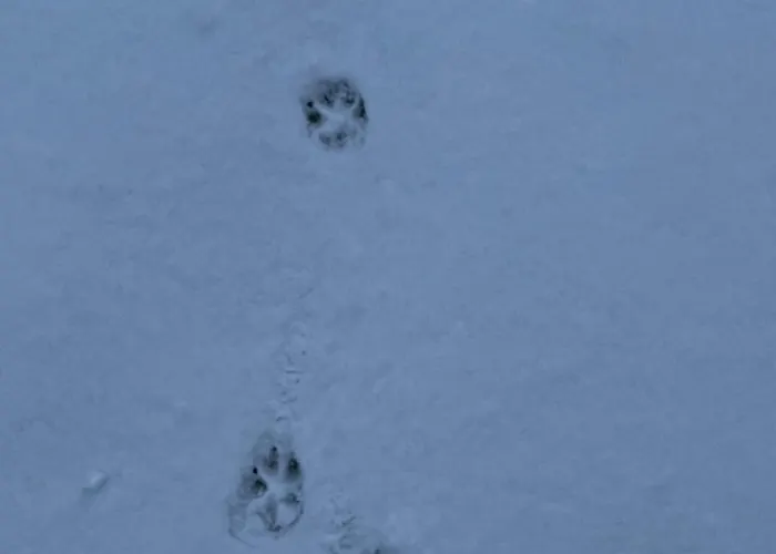 Hubertus מלון Reuth