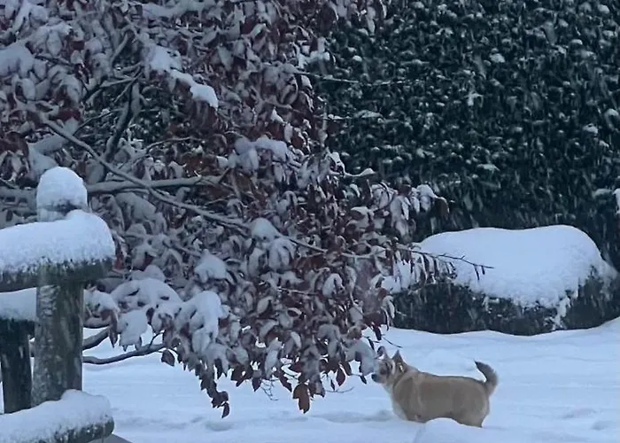 מלון Hubertus Reuth